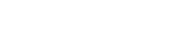 AI Partner
